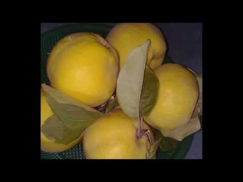 Tiana Kruskic     Ja nisam tu