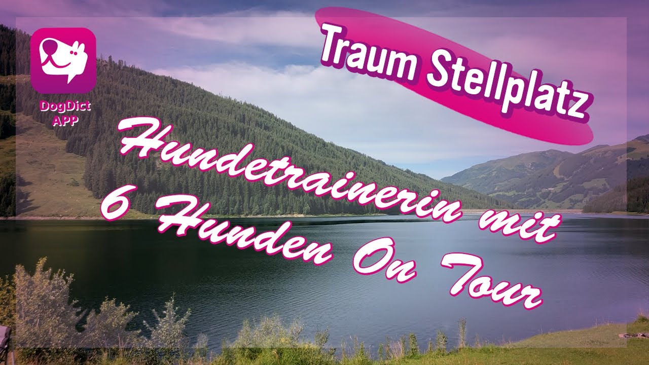 Folge 41: Die Camper