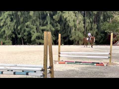 Hero v/d Bovenhoekshof video 3