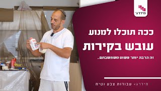צבע מונע עובש -  לא תאמינו כמה פשוט להיפטר מהעובש במקלחת! 🚿