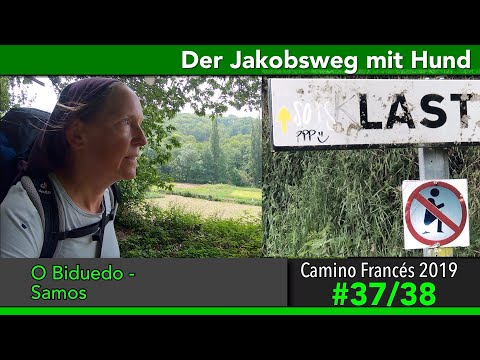Jakobsweg mit Hund – Doku 2019: Biduedo – Samos [Jakobsweg auf Alternativroute] |#Camino Francés