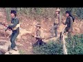 V Battalion | Mizo War Movie