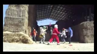 preview picture of video 'Harlem Shake Soratte 2013'