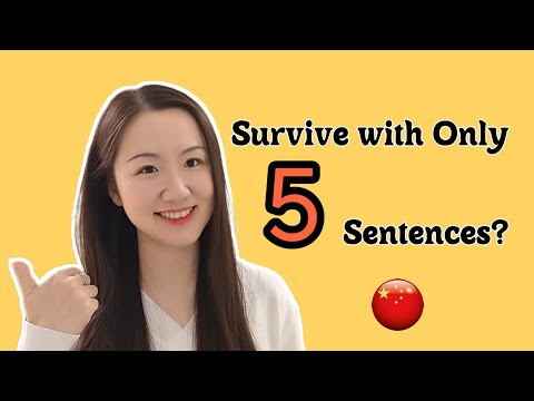 If You Can Only Learn 5 Mandarin Sentences...