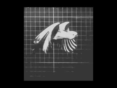 Smilla - Play + Bring the action