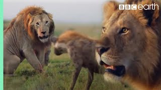 ONE HOUR of Amazing Animal Moments  BBC Earth