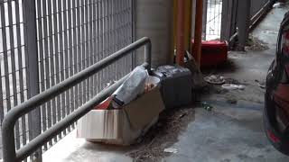 avellino-degrado-e-pericolo-nel-parcheggio-comunale-l-appello-al-commissario