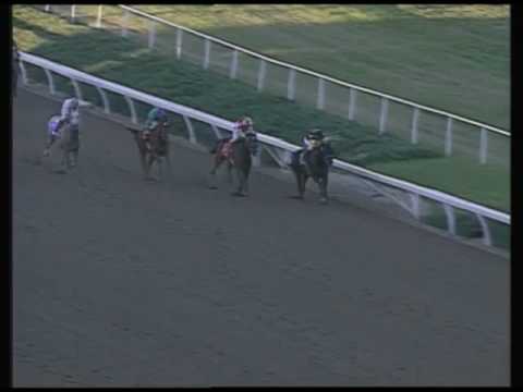 Tactical Cat - Hollywood Park Futurity