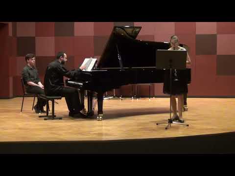 Ilja Zeljenka - Marek Pastírik