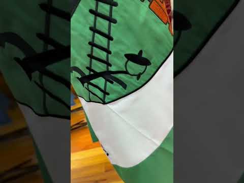 Bandera Villa Eloisa