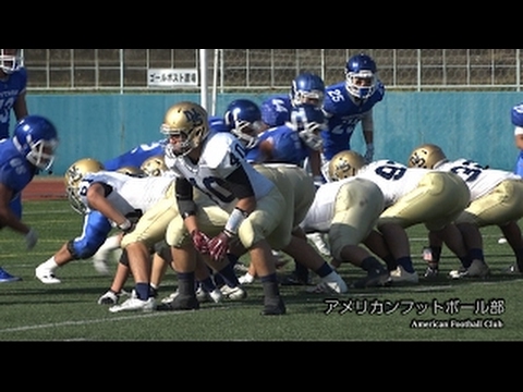 経済学科 神戸学院大学　課外活動紹介（チアリーダー部）
