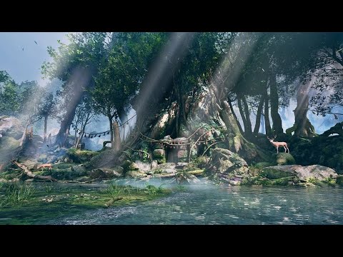 Tekken 8 | Yakushima Stage Showcase from Different Angles