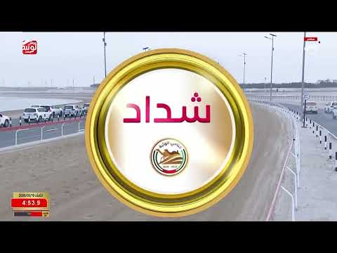 ش 4 شداد زمول مهجنات إنتاج (عنيد) منصور فيصل العجب الشهواني 12:29:92 ، ختامي الوثبة 2026/05/19
