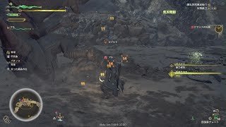 【ゲリョスの狩猟】おぎちょんの「モンスターハンターワイルズ　オープンベータ」