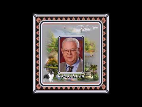 Rozsos István : Galamb száll a Hortobágyon