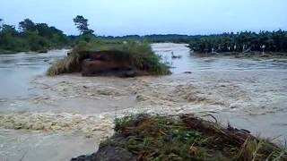 preview picture of video 'Inundacion:siquirres,carmen,Costa Rica 29/07/2012'