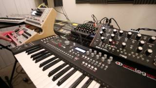 New Order Blue Monday, Elektron Analog Keys/Machinedrum/Monomachine/Mother 32/Minilogue Demo