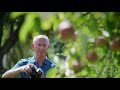 Harvesting Rhode Island Season 3 PROMO