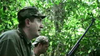 Safaris Chelet Bongo Big Game.avi