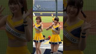 【小迪、希希】完美好球三振他#Passion Sisters#台湾チアリーディングチーム#中華職棒#CPBL#洲際#20240908