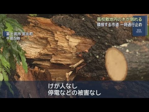 YouTube Video 高校敷地内の木が倒れ道路をふさぐ　10時間にわたり通行止め　静岡・富士宮市
