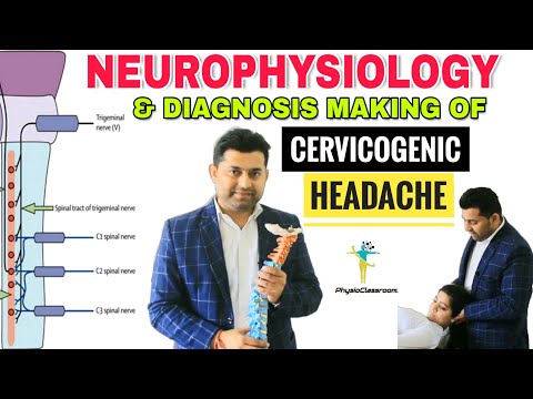 5 BEST NERVOUS SYSTEM MOBILIZATION EXERCISES TO TREAT HEADACHE PATIENTS