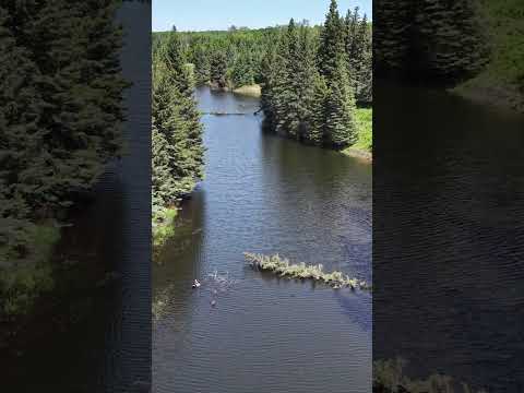 Steep Creek Trout Pond - Saskatchewan