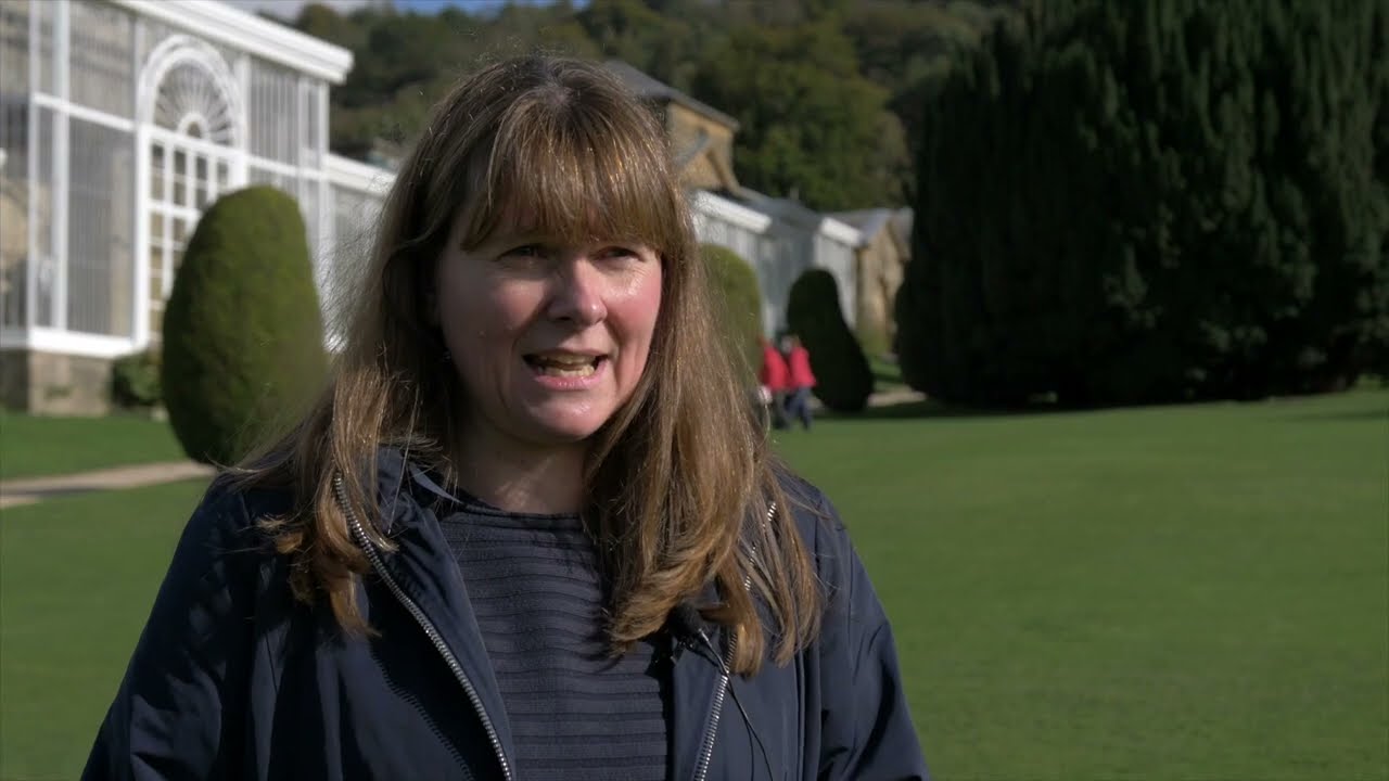 Accounting fieldtrip video