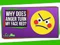 Why Does My Face Turn Red When I M Angry