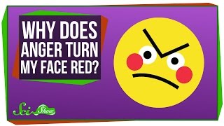 Why Does My Face Turn Red When I'm Angry?