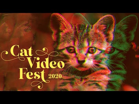 CatVideoFest 2020 (2020) Official Trailer