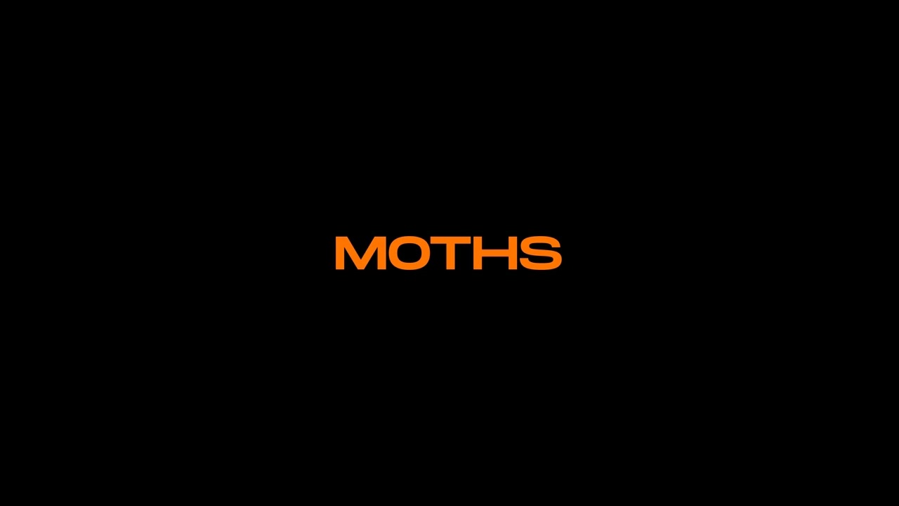 Miniature de la vidéo MOTHS - Trailer du film MOTHS