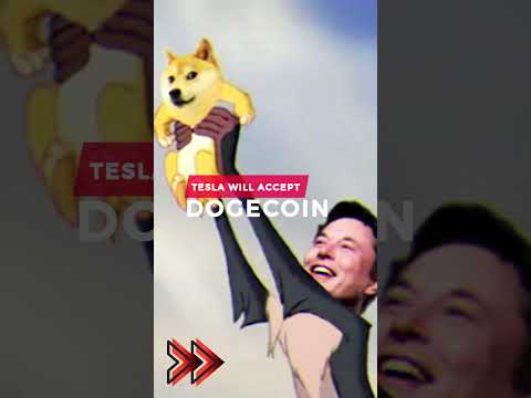 To The Moon! Elon Musk Accepts Dogecoin for Tesla Merchandise