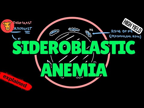 Sideroblastic Anemia EXPLAINED: Pathogenesis, Etiology & Treatment (USMLE Beginner’s Guide)