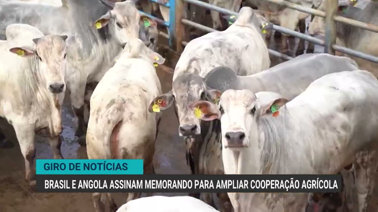 Brasil e Angola assinam memorando para ampliar cooperação agrícola | Giro de Notícias