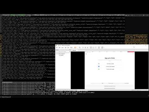Video 1