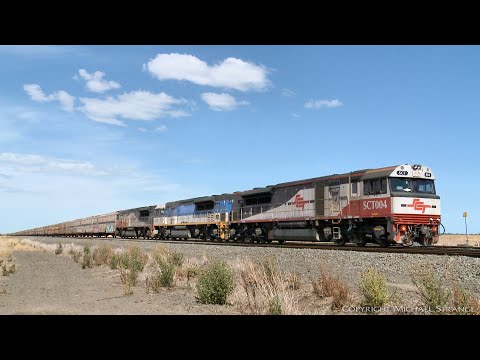 SCT 1MA9 Freight Train With Boxcars, Containers & Louvre Vans - PoathTV Australian Railways