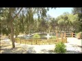 Испания недвижимость в Guardamar del Segura 