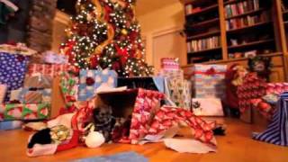 Puppie Christmas Hatebeak Remix