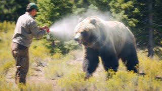 Why You Should ALWAYS Carry Bear Spray When Hiking...