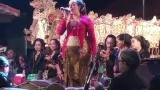 Download lagu Uler Kambang Sinden Hongaria Agnes Serfozo feat Sanggar Seni Madukara Live Dororejo Doro Pekalongan mp3