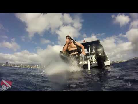 Bow of the Sea Tiger Shipwreck covered in yellow and purple coral off the coast of Honolulu, Oahu