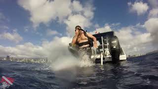 Large school of blue-line snapper swirling over a vibrant coral reef in Hawaii