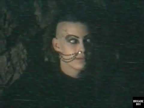 Kollision mit dem Harmoniebedürfnis (DDR TV 1989)