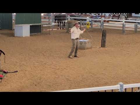 Video: whip cracking at the Stockman's Hall of Fame live show