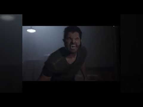Teen Wolf Staffel  2-4
