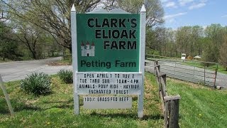 preview picture of video 'My Business - Sharing the Journey:  Clark's Farm and Clark's Elioak Farm'