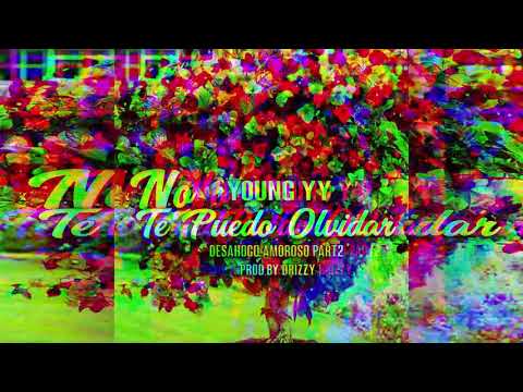 Young YY - No Te Puedo Olvidar (  Audio Official )