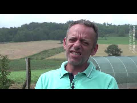 Ratni veterani govore - Dragan Marić