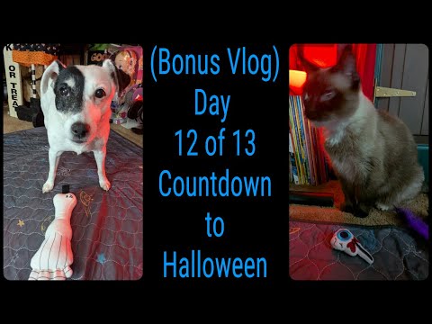 (Bonus Vlog) Day 12 of 13 Countdown to Halloween